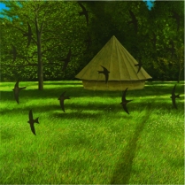 20. Swifts and Tent
